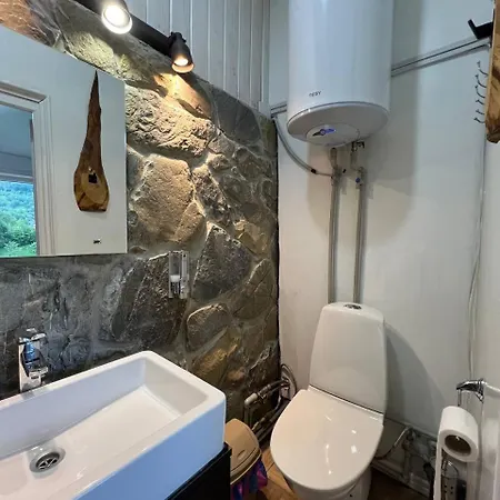 Apartment Kresy Yaremche
